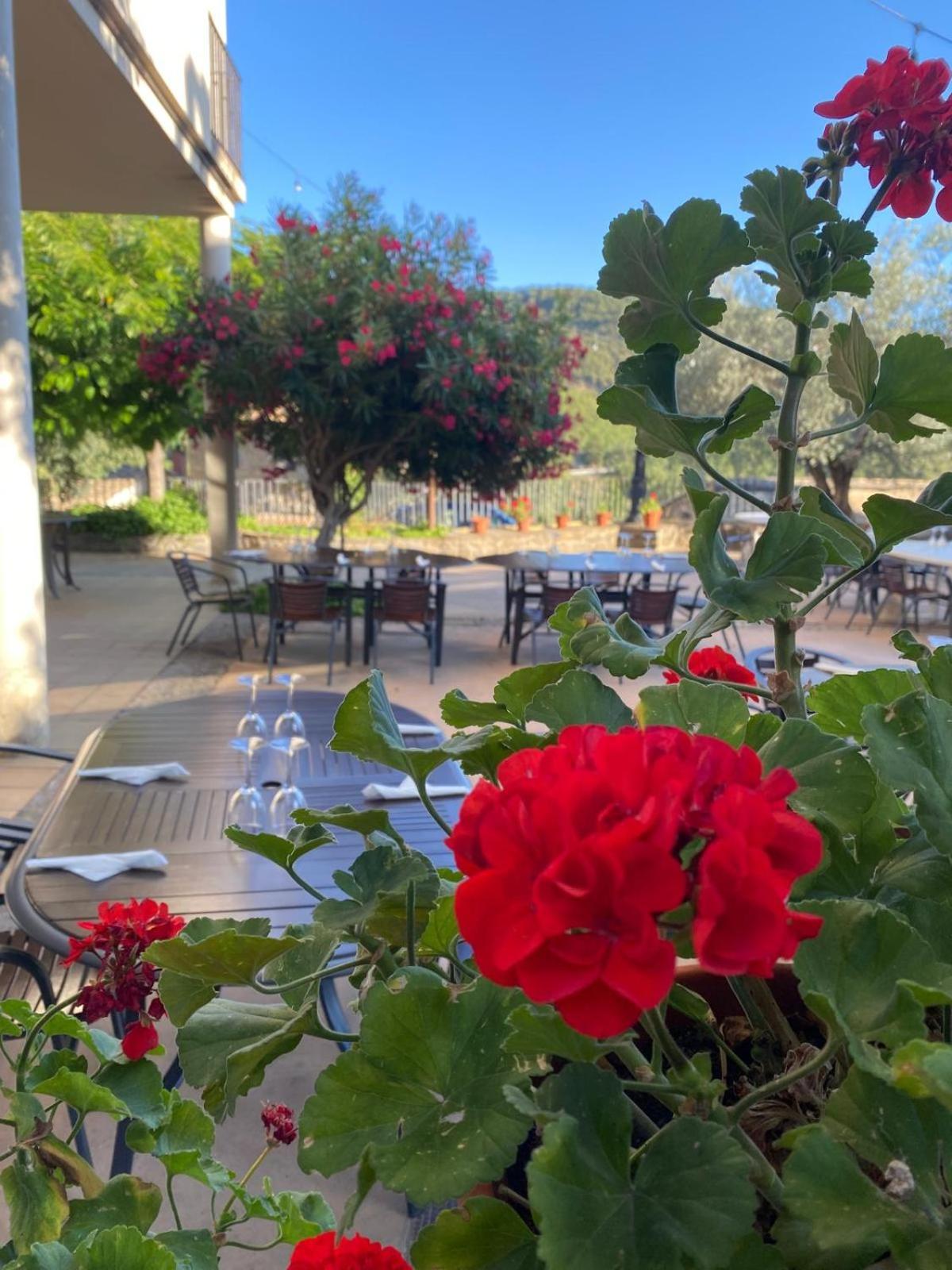 Hotel Guara Inluka Las Almunias Екстер'єр фото